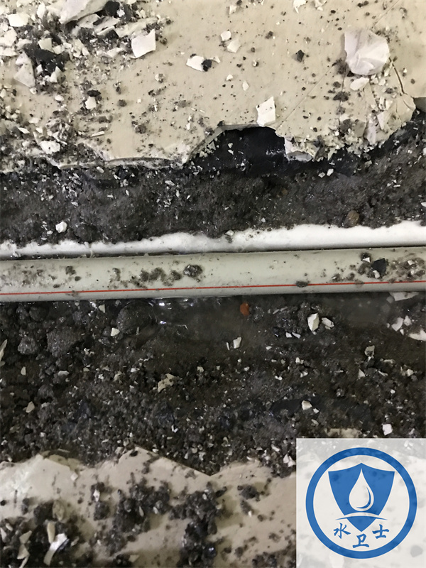 泰州家庭測漏案例